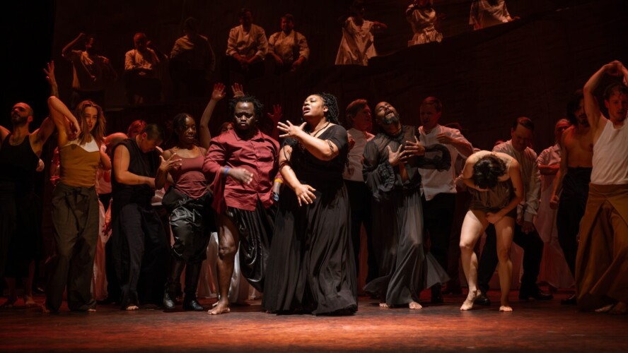 © Danny Willems OBV